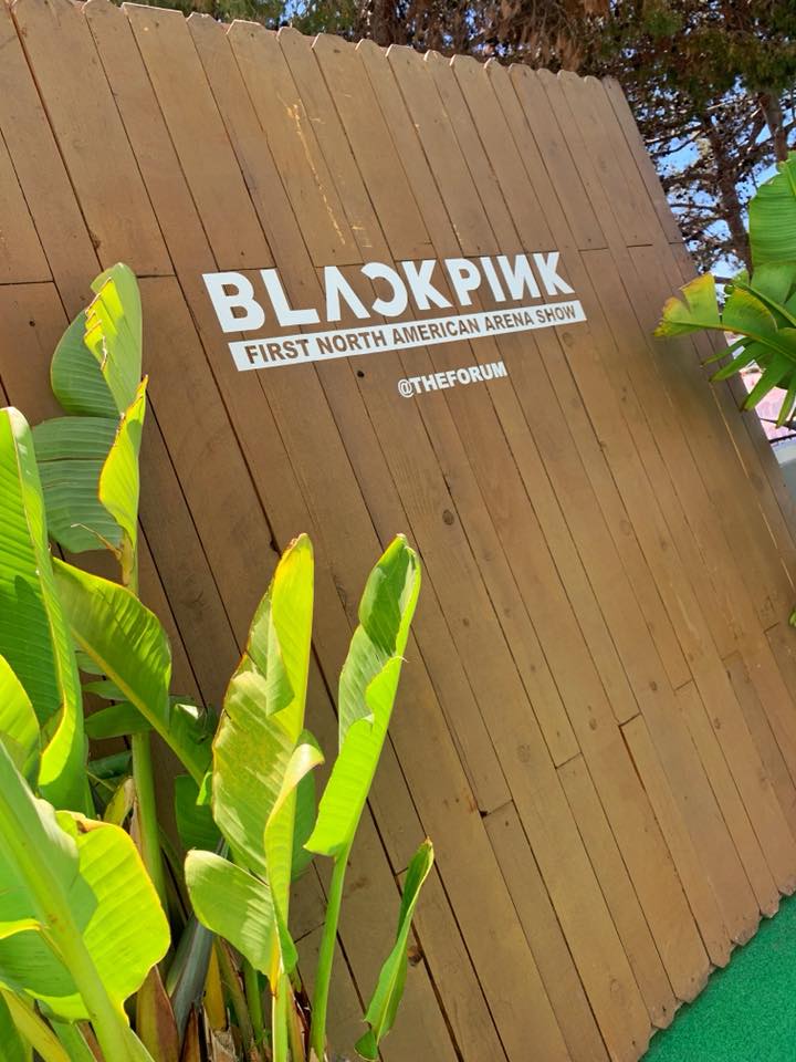 57546463_2289411111117737_2280871356390178816_n